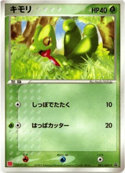 Japanese Treecko (キモリ)