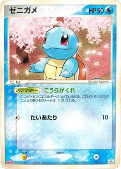 Japanese Squirtle (ゼニガメ)