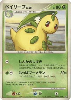 Japanese Bayleef (ベイリーフ)