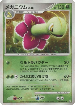 Japanese Meganium (メガニウム)