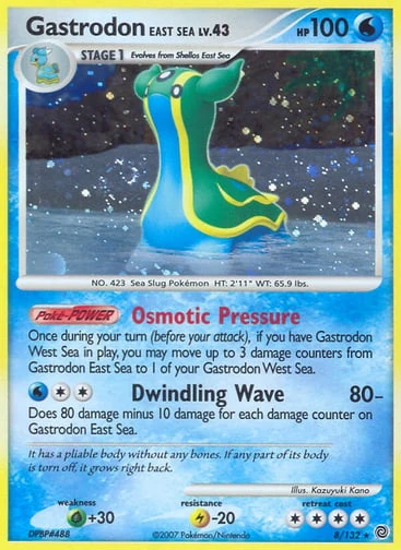 Gastrodon East Sea — Secret Wonders #8