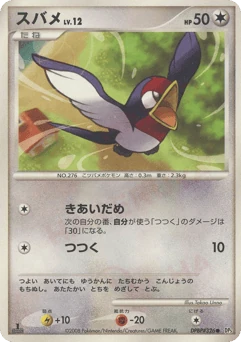 Japanese Taillow (スバメ)