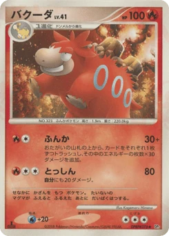Japanese Camerupt (バクーダ)