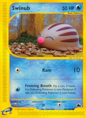Swinub — Skyridge #107