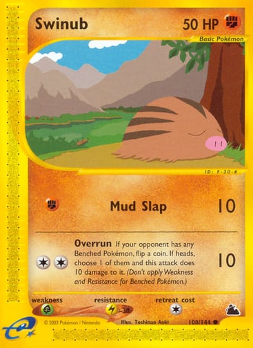 Swinub — Skyridge #108