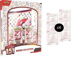 151 Binder Collection Case