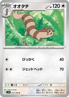 Japanese Furret (オオタチ)