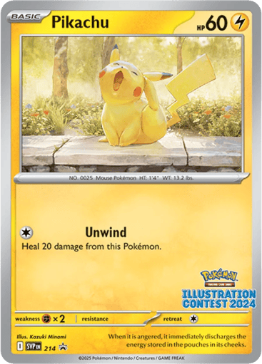 Pikachu — Scarlet & Violet Black Star Promos #214