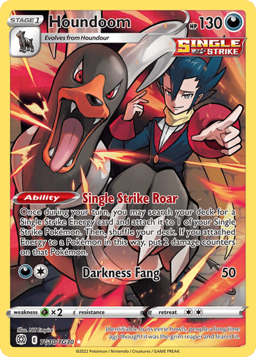Houndoom — Brilliant Stars Trainer Gallery #TG10